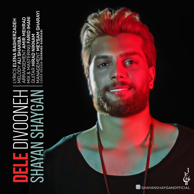 دانلود آهنگ دل دیوونه دانلود آهنگ دل دیوونه